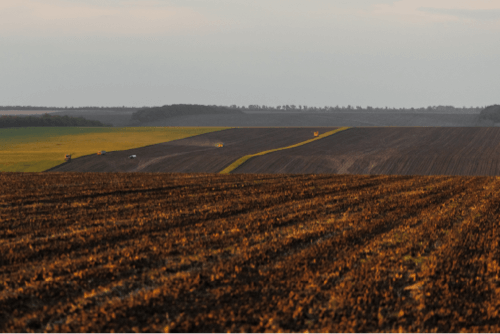 seguros agrícolas 